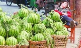 城固吃瓜最新事件爆料新闻,揭秘背后惊人真相，网络热议持续升温